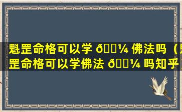 魁罡命格可以学 🐼 佛法吗（魁罡命格可以学佛法 🌼 吗知乎）
